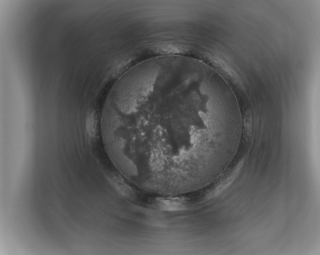 X0000110890359200906251322