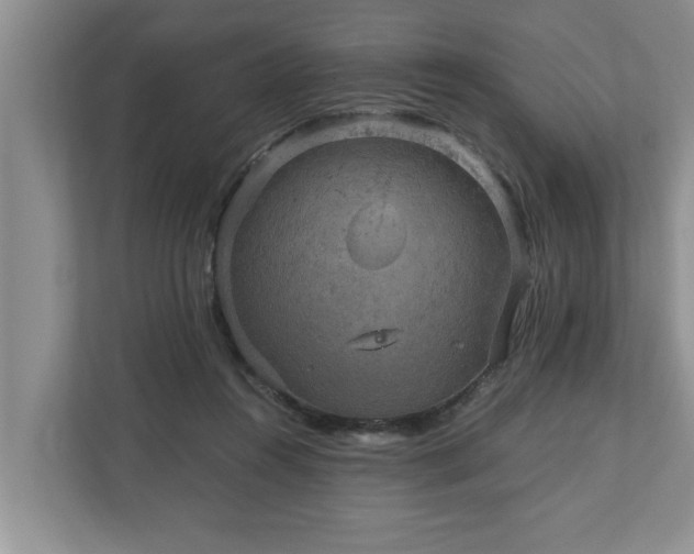 X0000110890360200906251322