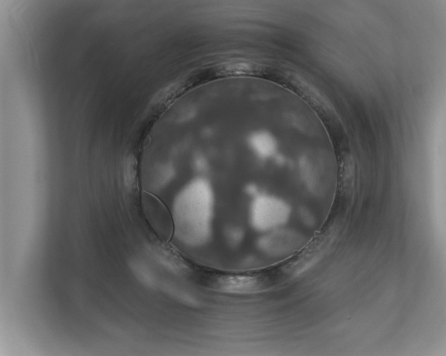 X0000110890361200906251322