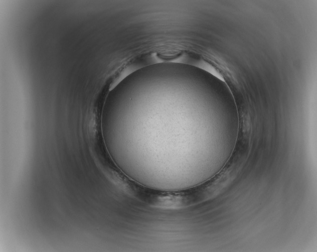 X0000110890362200906251322