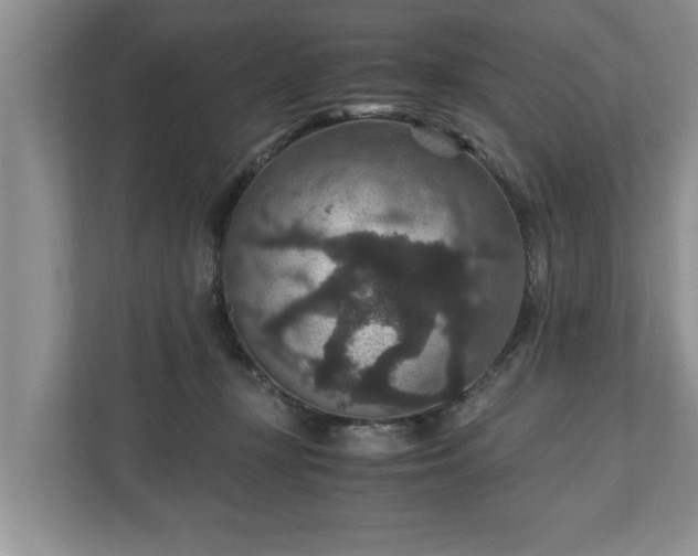 X0000110890367200906251322