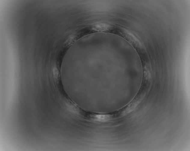 X0000110890371200906251322