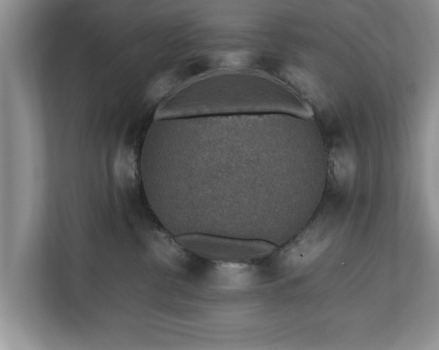 X0000110890380200906251322