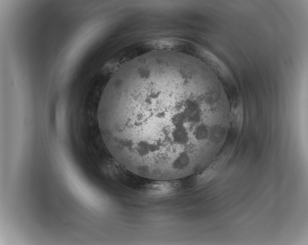 X0000110890381200906251322