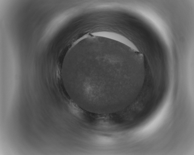 X0000110890382200906251322