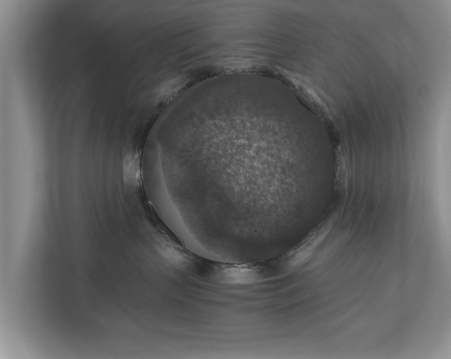 X0000110890383200906251322