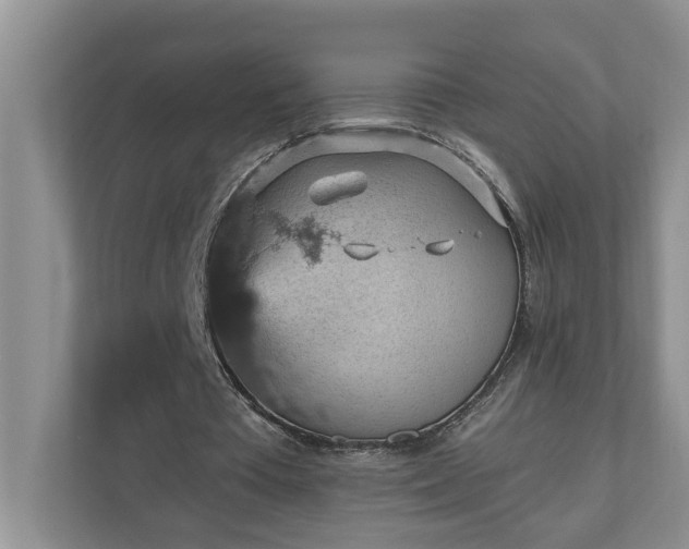 X0000110890385200906251322