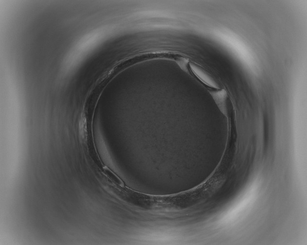 X0000110890387200906251322