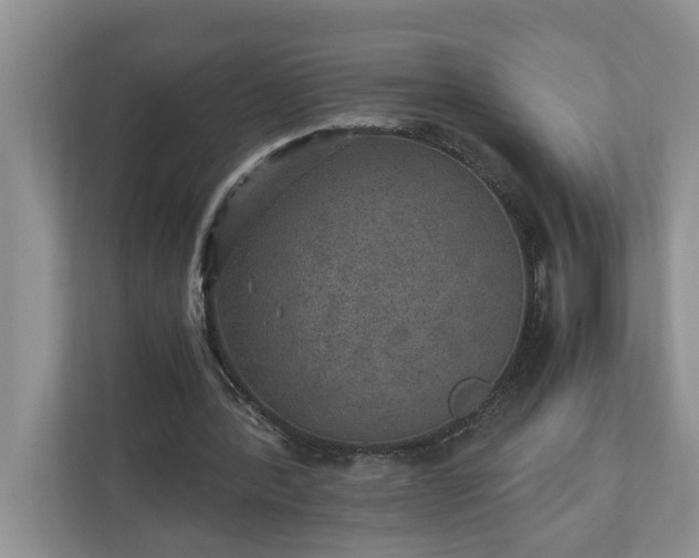 X0000110890388200906251322