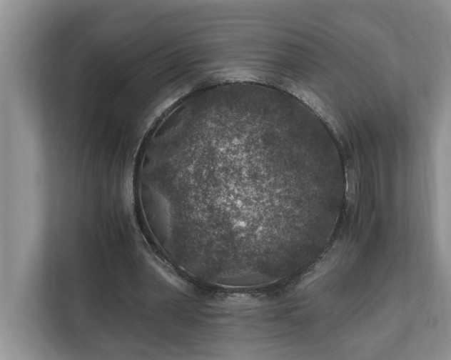 X0000110890390200906251322