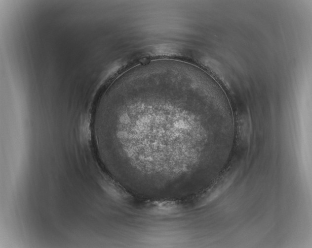 X0000110890395200906251321