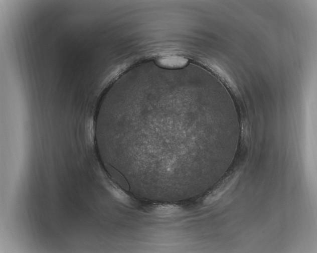 X0000110890397200906251321