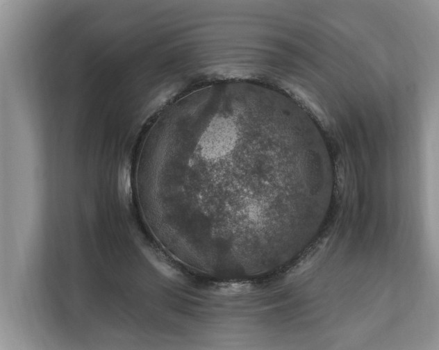 X0000110890398200906251321