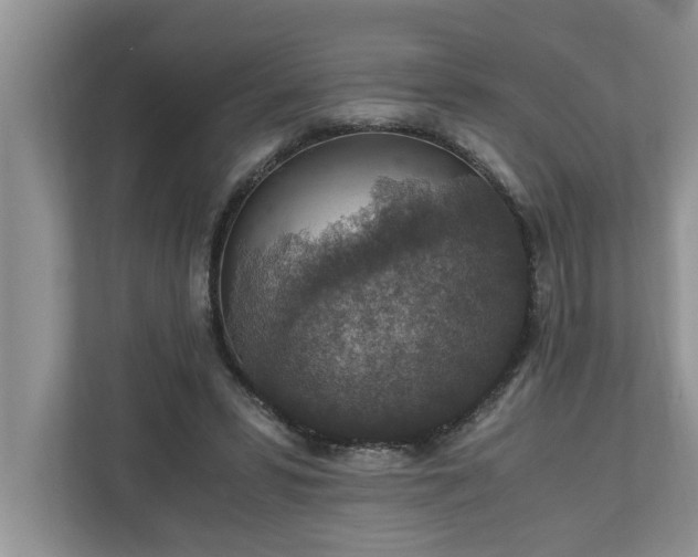 X0000110890399200906251321