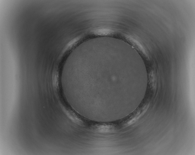X0000110890400200906251321