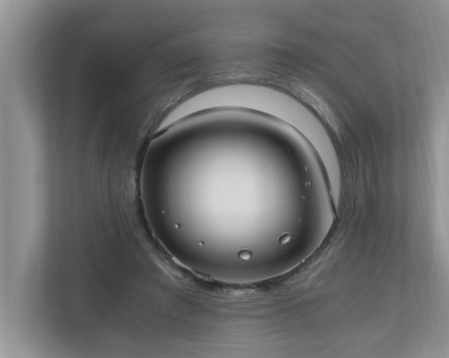 X0000110890401200906251321
