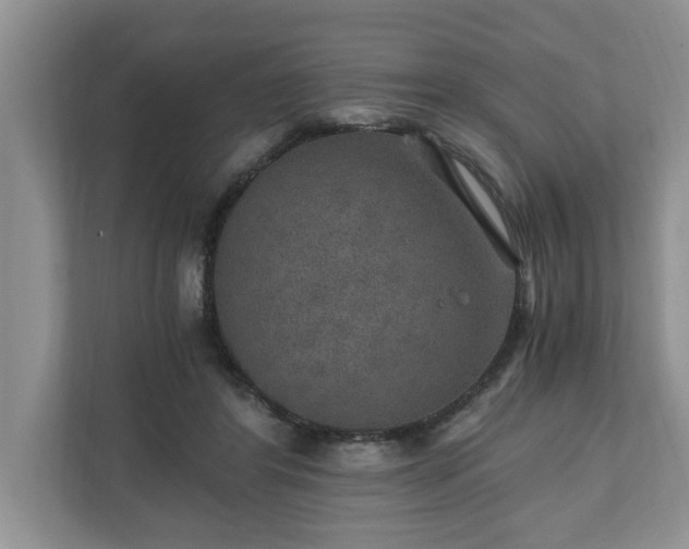 X0000110890404200906251321