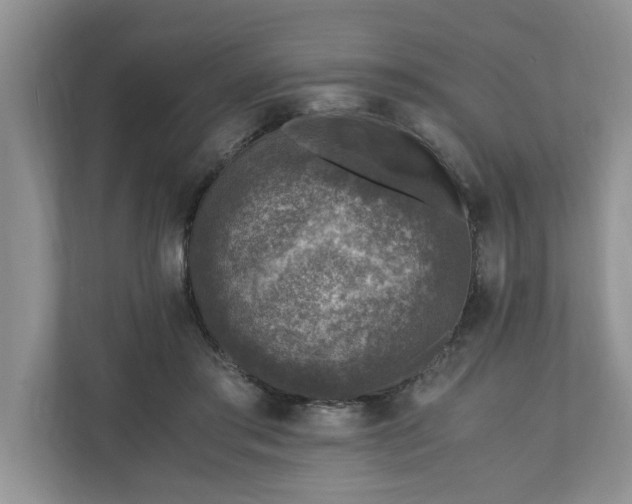 X0000110890405200906251321