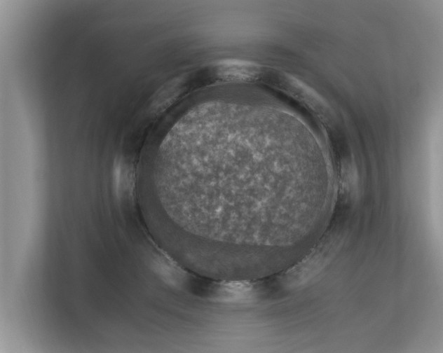 X0000110890409200906251321