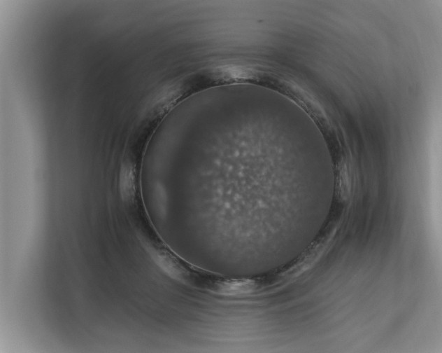 X0000110890410200906251321