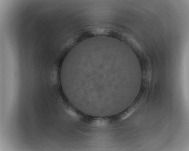 X0000110890416200906251321