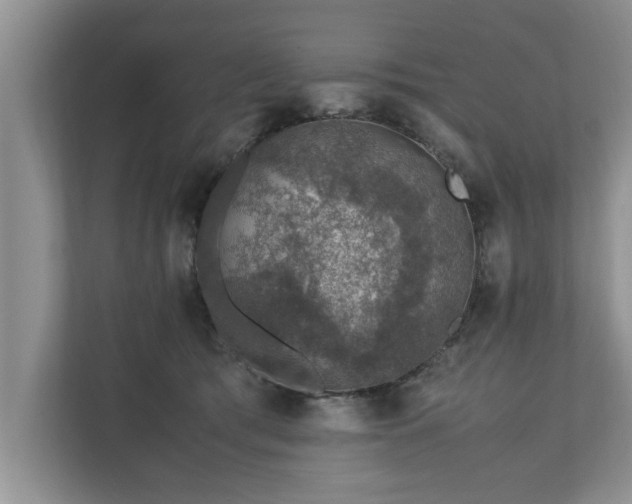 X0000110890417200906251321