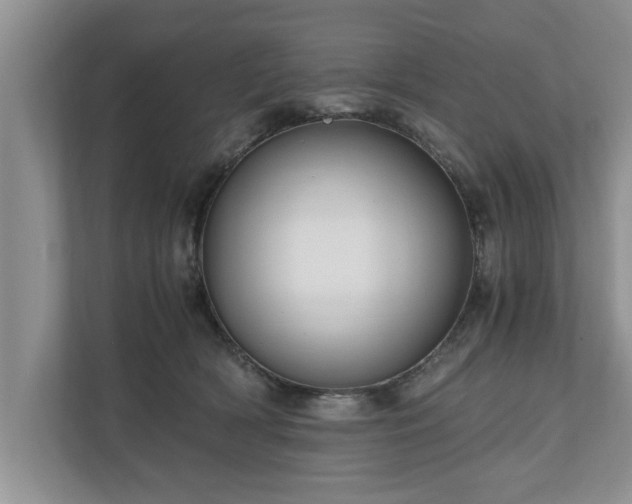 X0000110890418200906251321