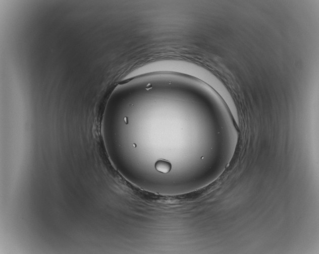 X0000110890419200906251321