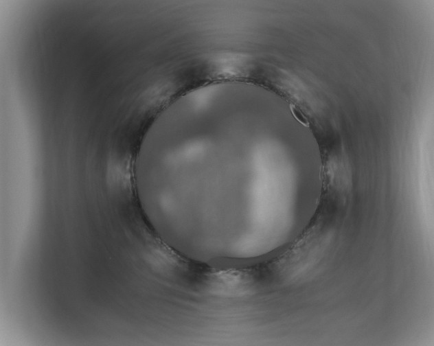 X0000110890423200906251321