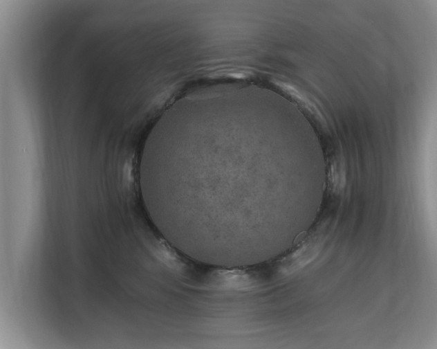 X0000110890424200906251321