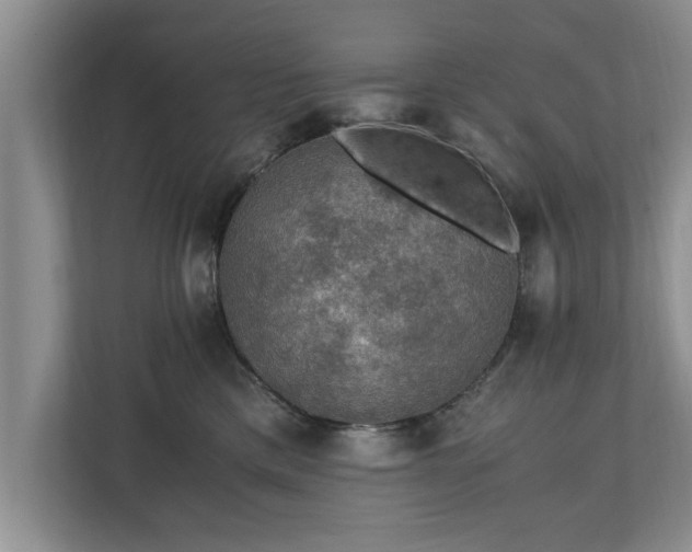 X0000110890425200906251321