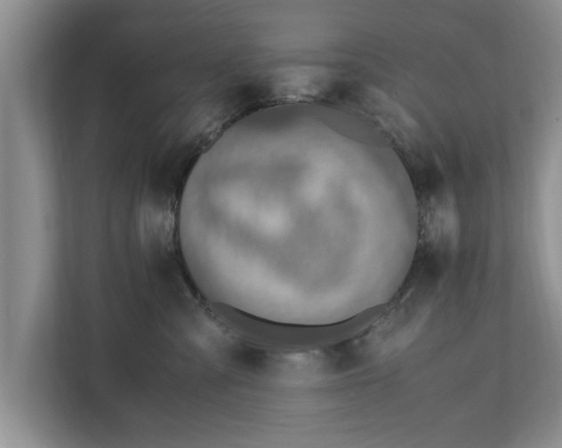 X0000110890427200906251321