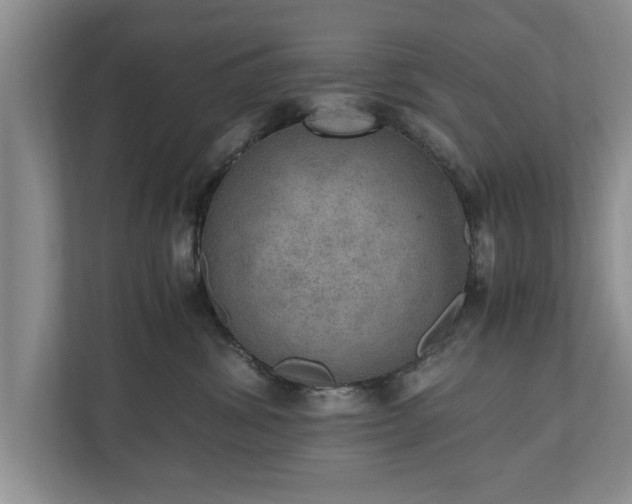 X0000110890428200906251321