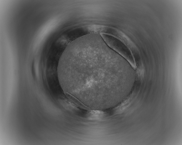 X0000110890429200906251321