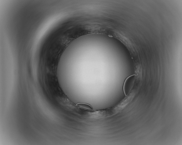 X0000110890430200906251321