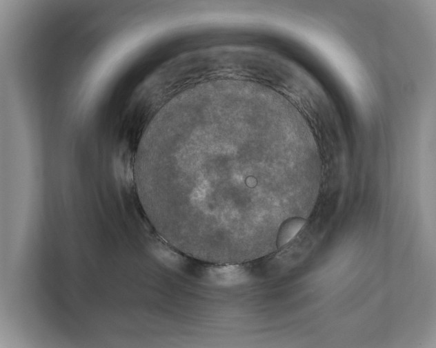 X0000110890431200906251321