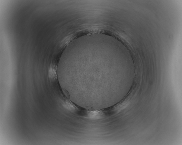 X0000110890432200906251321
