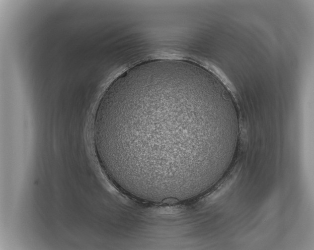 X0000110890433200906251320