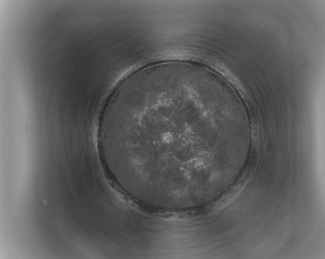X0000110890434200906251320
