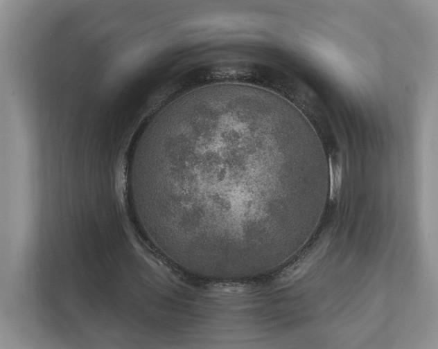 X0000110890435200906251320