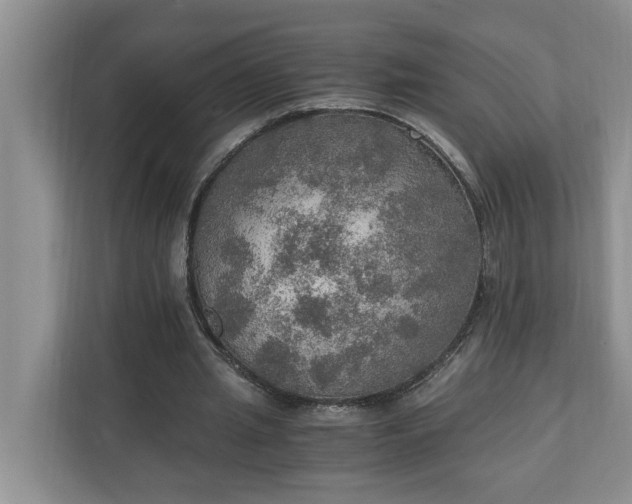 X0000110890437200906251320