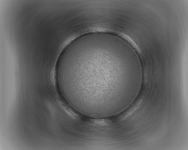 X0000110890439200906251320