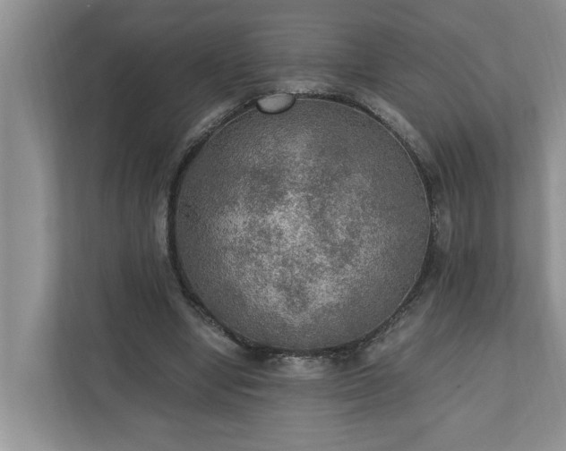 X0000110890442200906251320