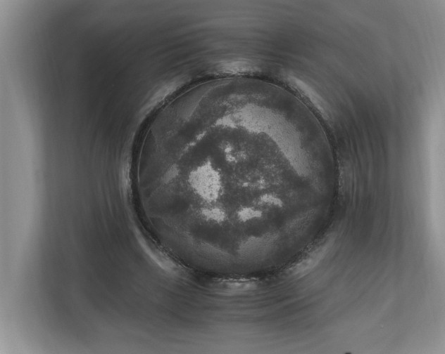 X0000110890443200906251321