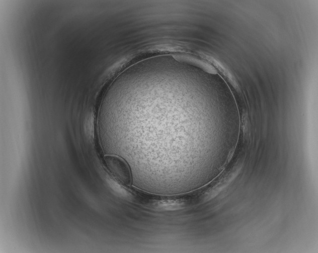 X0000110890445200906251321