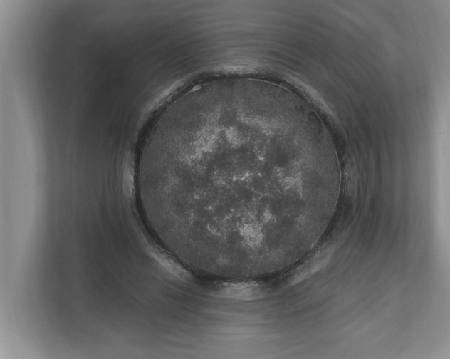 X0000110890446200906251321