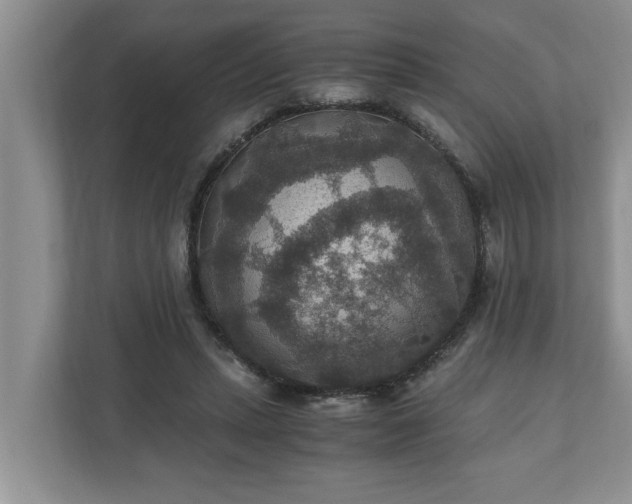 X0000110890447200906251321