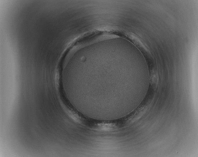 X0000110890448200906251321