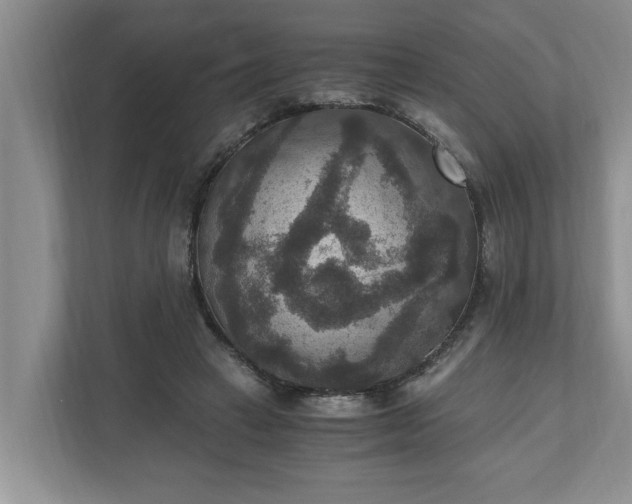 X0000110890449200906251321