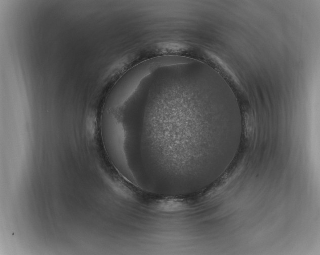 X0000110890451200906251321
